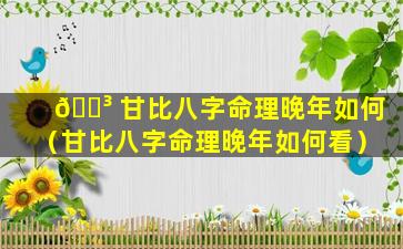 🌳 甘比八字命理晚年如何（甘比八字命理晚年如何看）